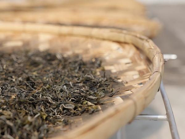 Сушка чая на солнце2