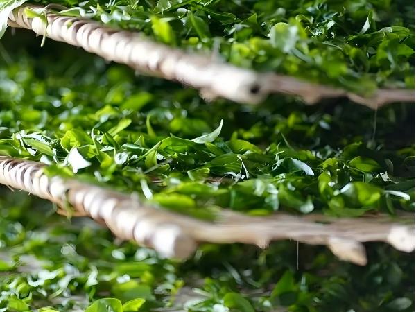 Завяливание